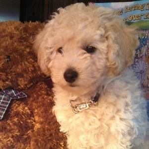 Meet your Posher, Nancy